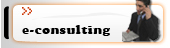 E-consulting!